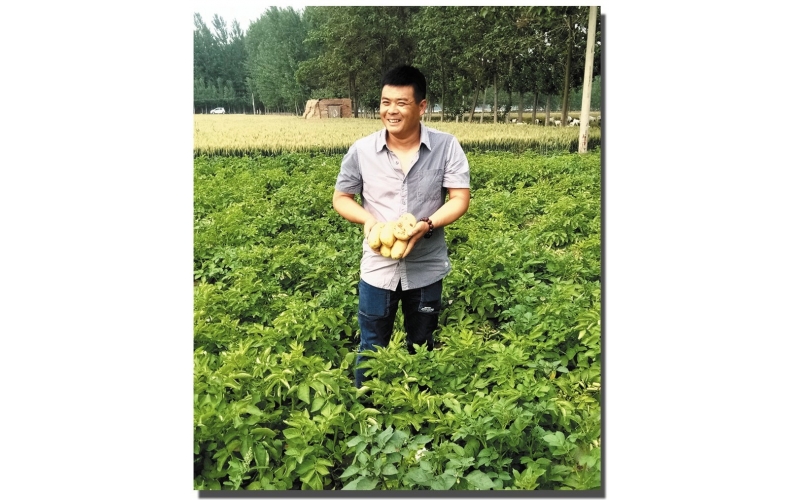 長磊公司種薯用戶在各地大田種植效果